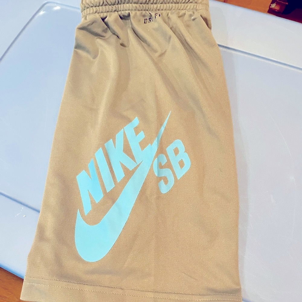 Nike SB DRI FIT Kids Shorts